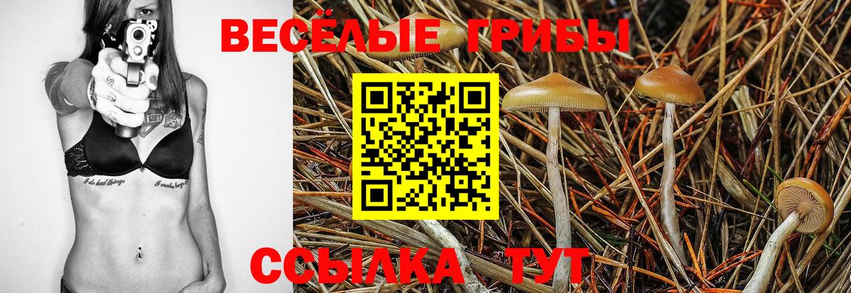 Галлюциногенные грибы GOLDEN TEACHER Южноуральск